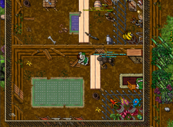 4.png