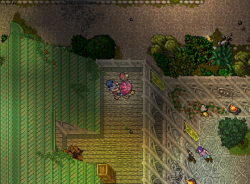 elvencity7.png