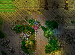 elvencity8.png