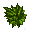 Bush.png