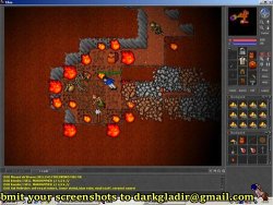 Dead dragon corpse Copper shield.jpg