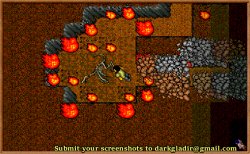 tibia13.jpg