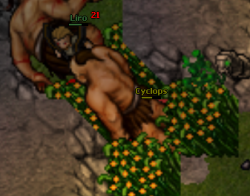 1595013177487.png