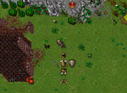 newrook.png