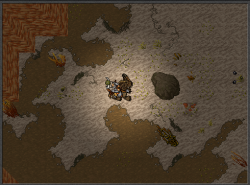 25.png