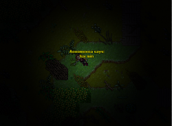 11.png