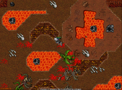5.png