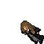 hermiona4.gif
