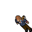 ron3.gif