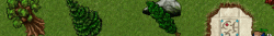 buffs.gif