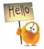 734105_Funny-Hello_620.jpg