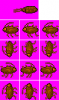 cockroachxe2.png