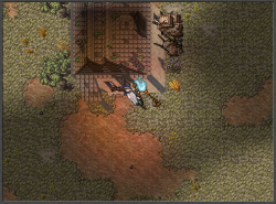 52.png