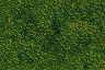 detailed grass-randomized.gif