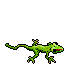 green lizard.gif