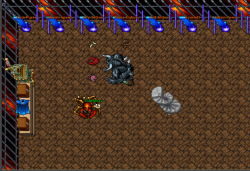 custom houses.png