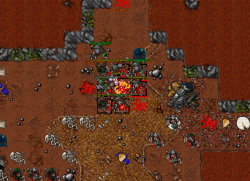 Corym action.png