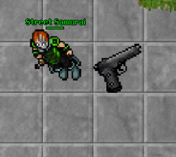 nr1.png