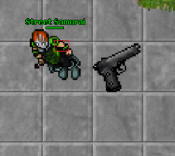 nr1.png