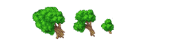 tree2323.png