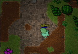 5.gif