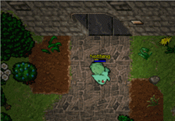 6.gif