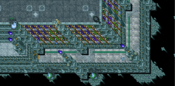 aquarium.png
