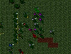 abdteam.jpg