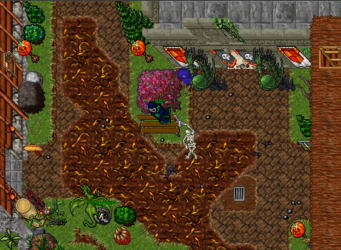 halloween.png