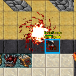 anima.png