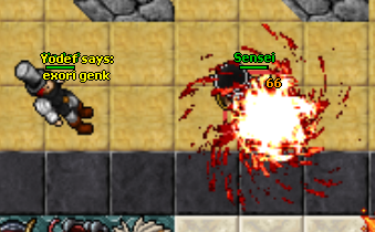 anima.png