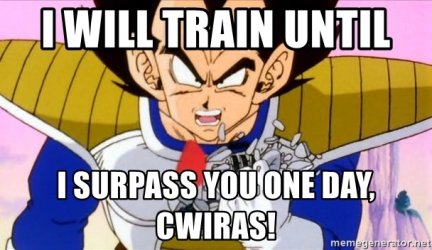 i-will-train-until-i-surpass-you-one-day-cwiras.jpg