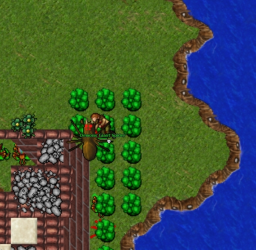 rip1.png