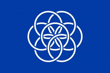flag_20x30.jpg