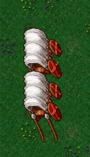 1605288833939.png