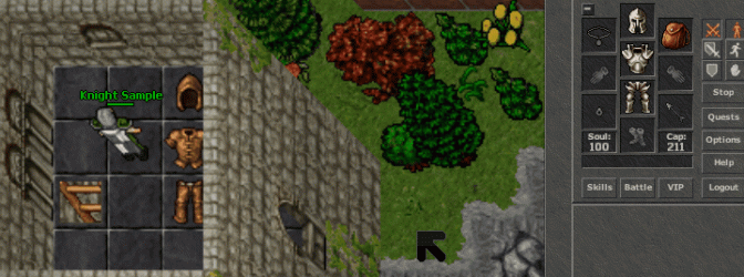 Testingitems.gif