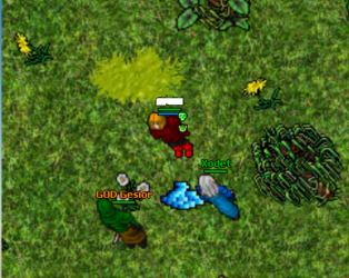 PKzoQ3D.png