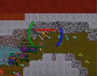carnivora2.JPG