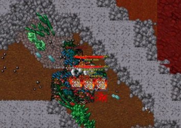 carnivora1.JPG