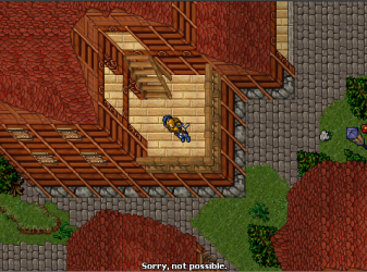 dp1.PNG