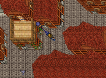 town1.PNG