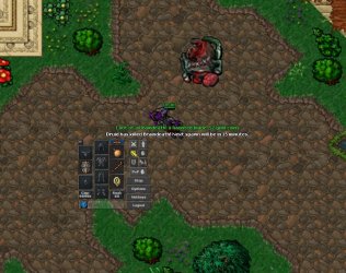 kill.jpg