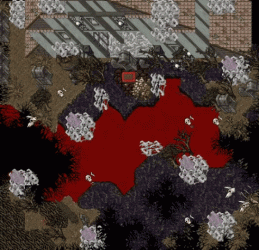 3.gif