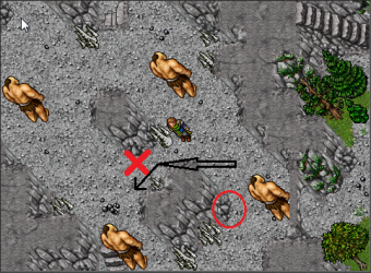 003144.png
