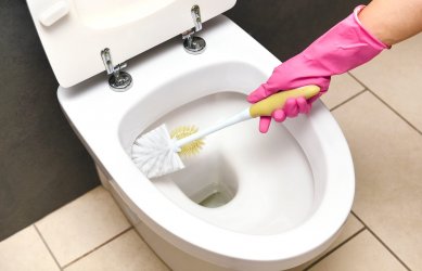 toilet.jpg