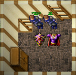 1614445263374.png
