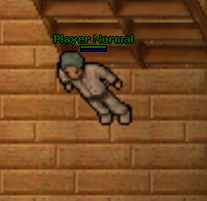 1615519933833.png