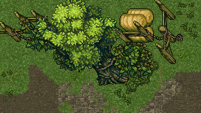 tree and fence.png
