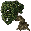 tree_.png