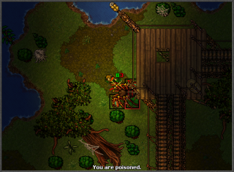 spiderfield4.png